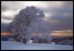 Winterabendlichtstimmung