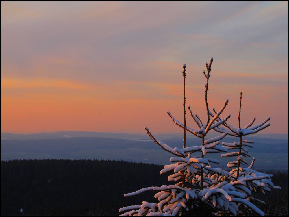 Winterabendsonne