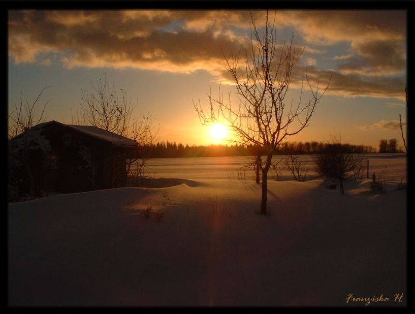 Winterabendsonne