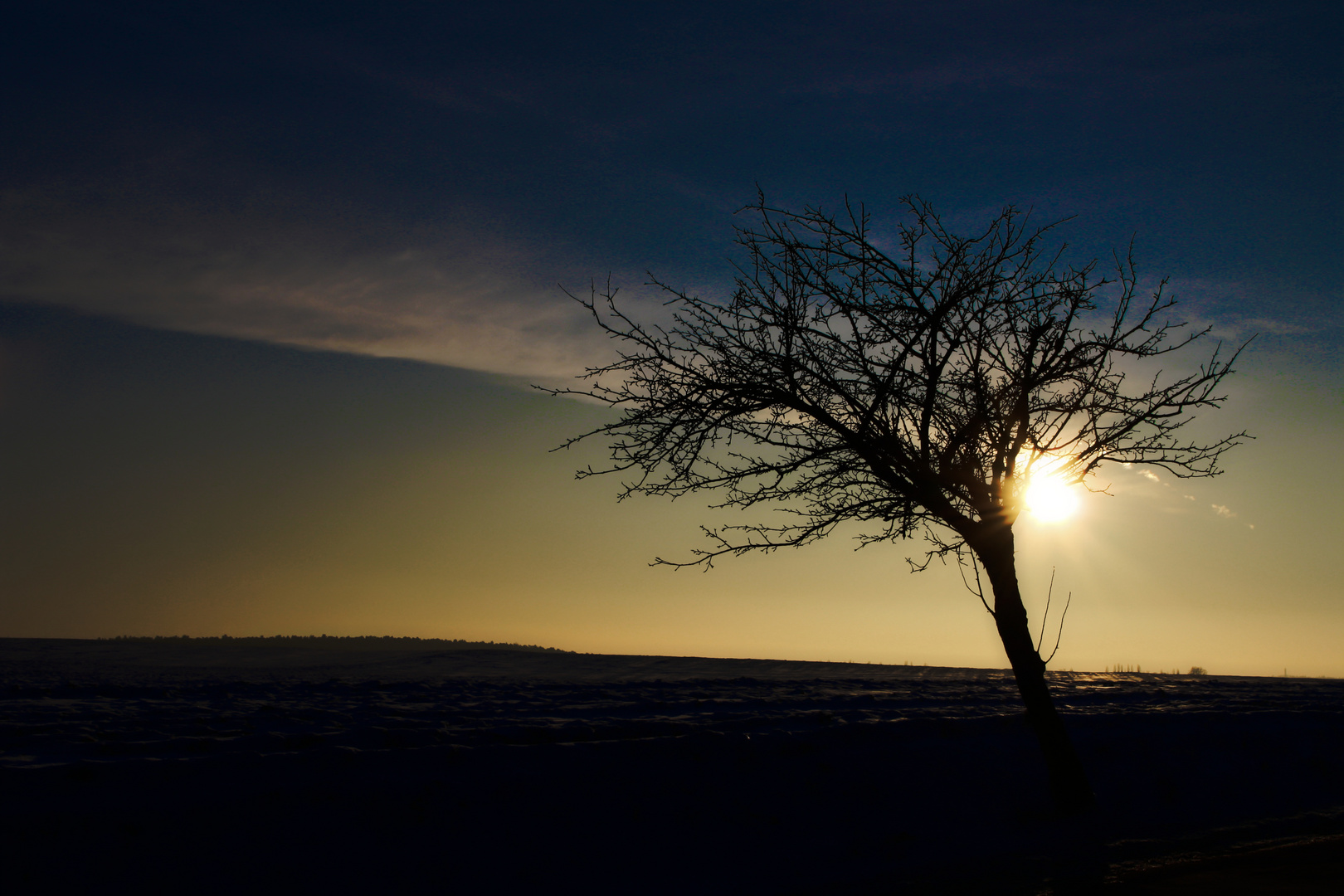 Winterabendsonne