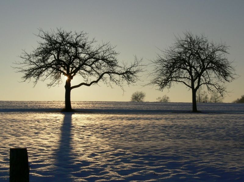 Winterabendsonne