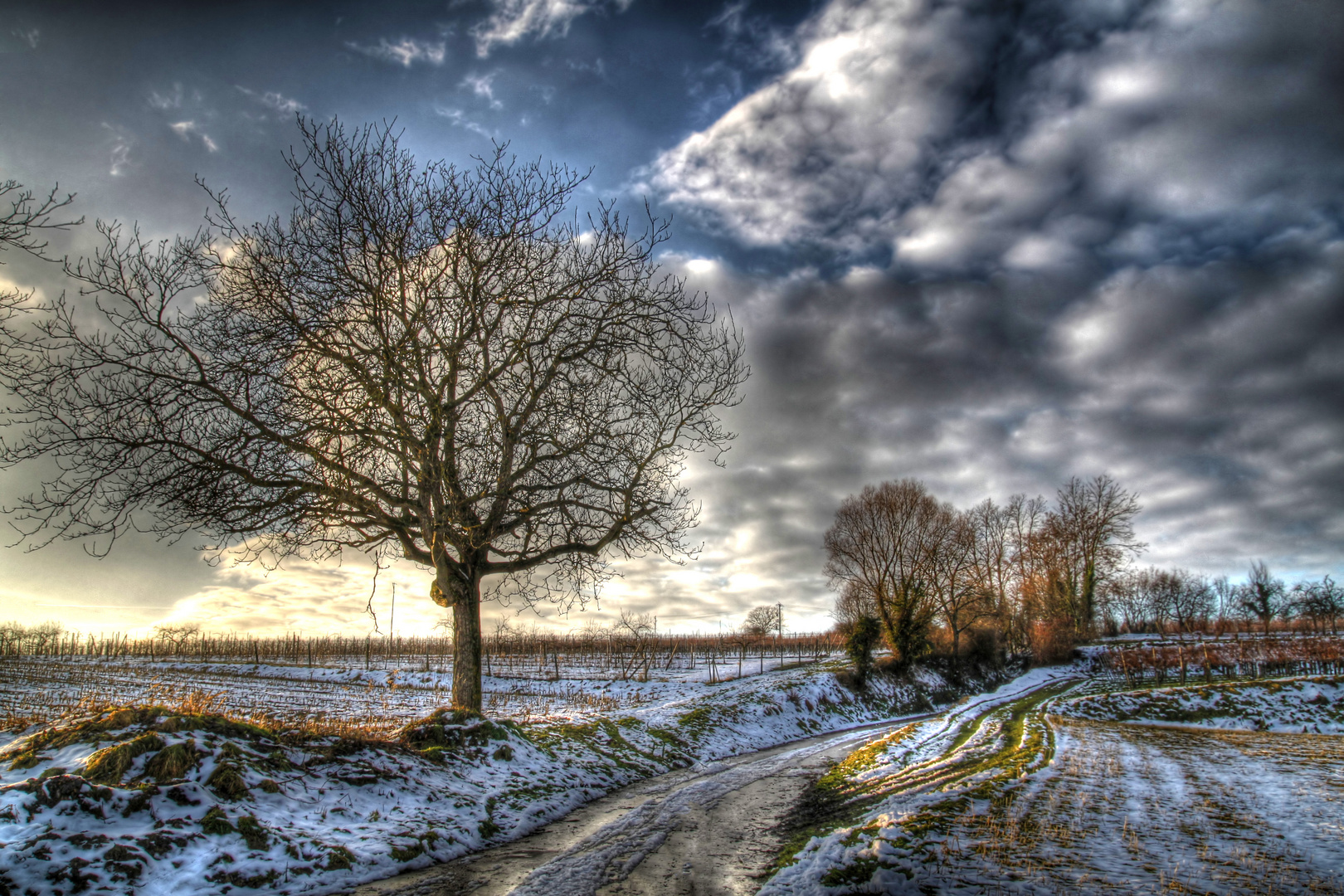 Winterabendsonne im Markgräflerland (HDR)