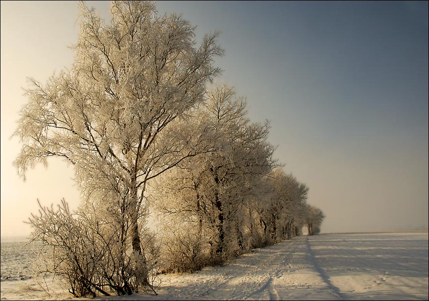 Winterabschied 2005