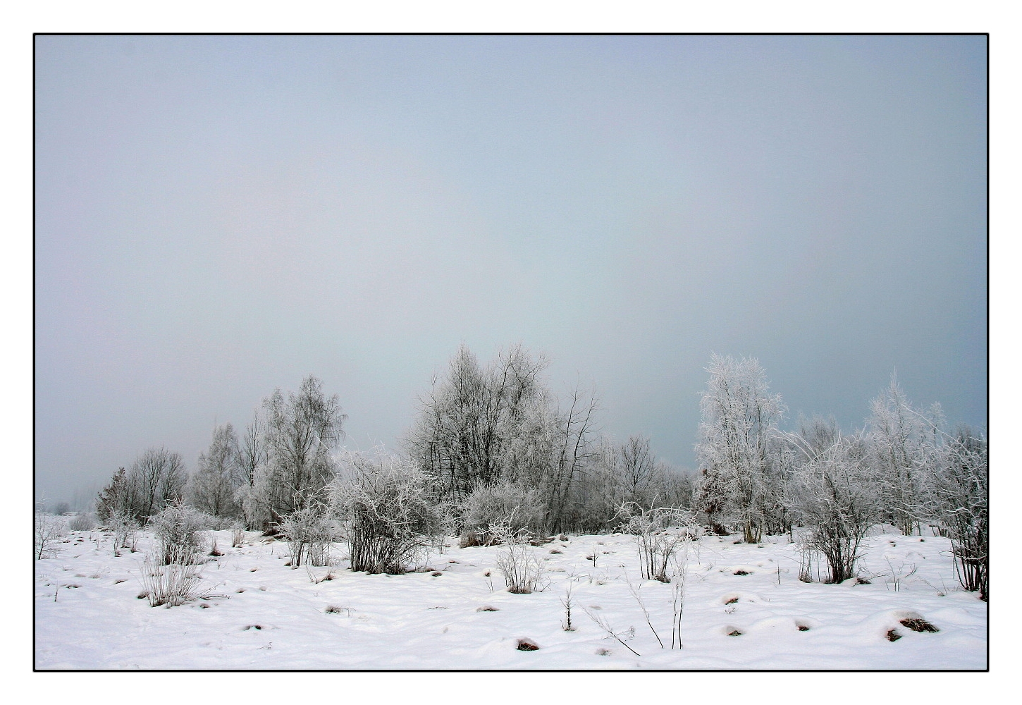 Winterabschiedsfoto