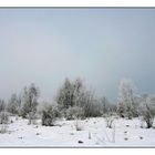 Winterabschiedsfoto