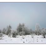 Winterabschiedsfoto