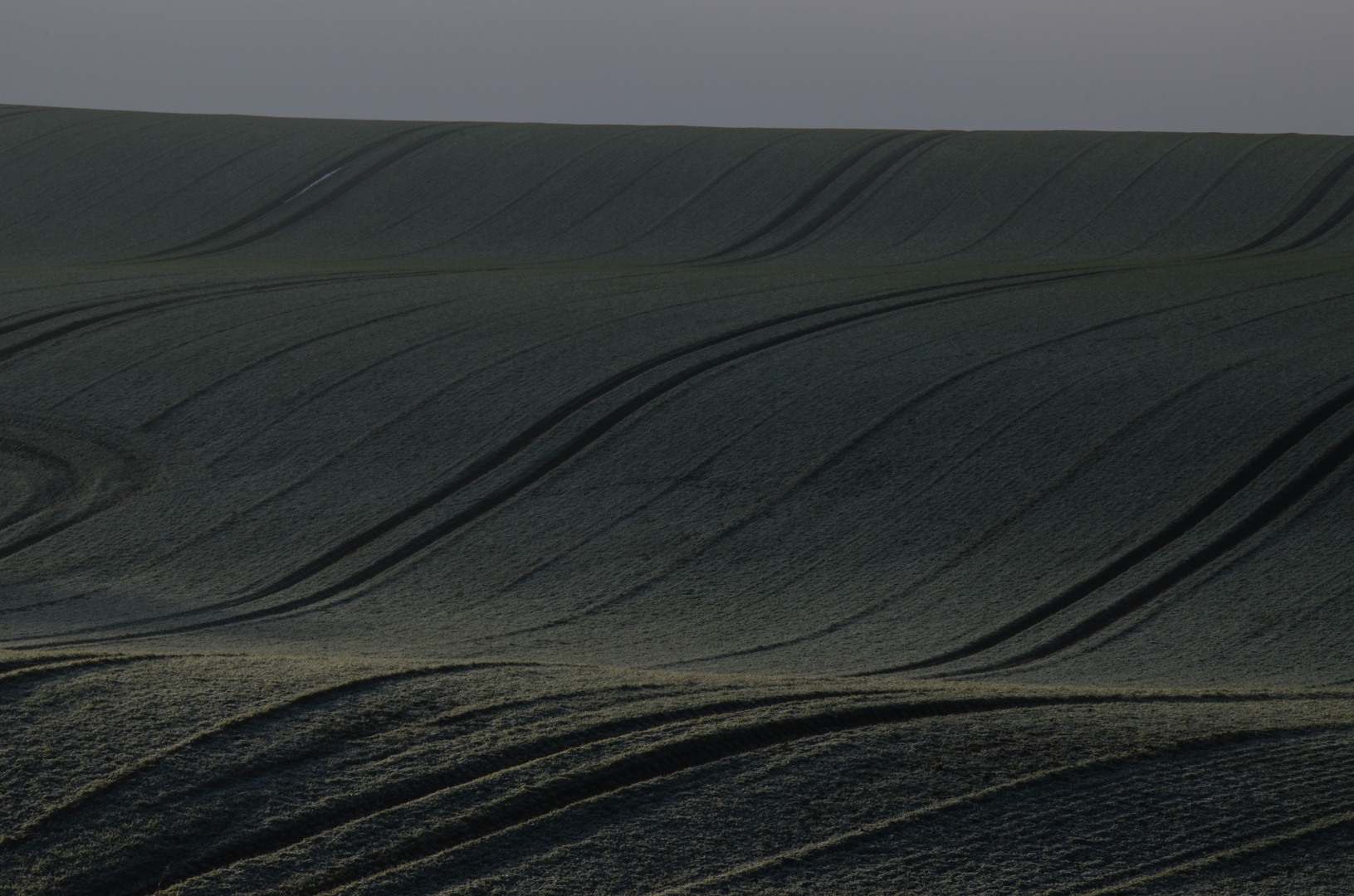 Winteracker im Morgengraun