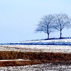 Winteräcker.../2