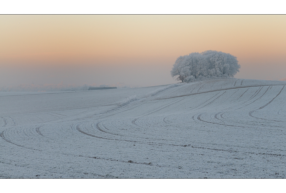 Winterästhetik II