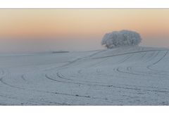 Winterästhetik II