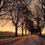 Winterallee