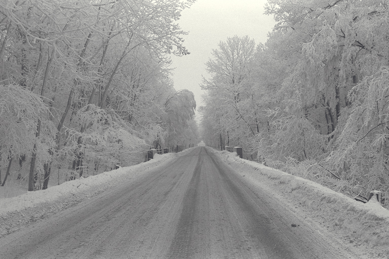 Winterallee