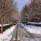 Winterallee