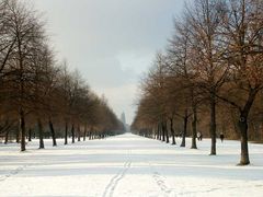 Winterallee