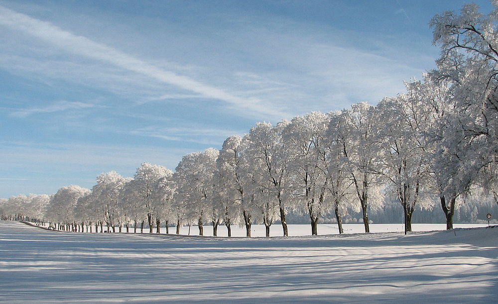 Winterallee