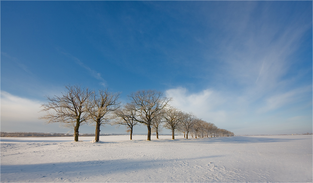 Winterallee