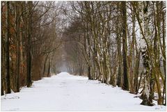 Winterallee