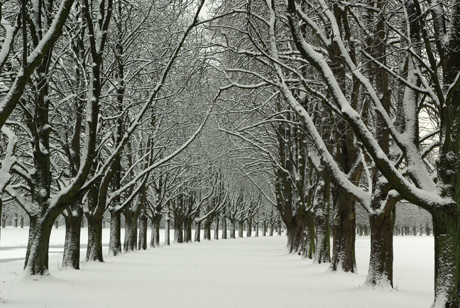 Winterallee