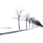 winterallee