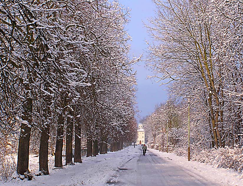 Winterallee