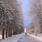 Winterallee