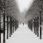 Winterallee