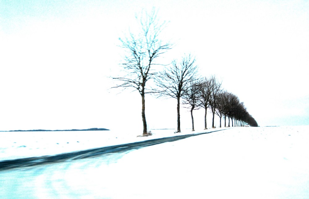 winterallee ,die2.