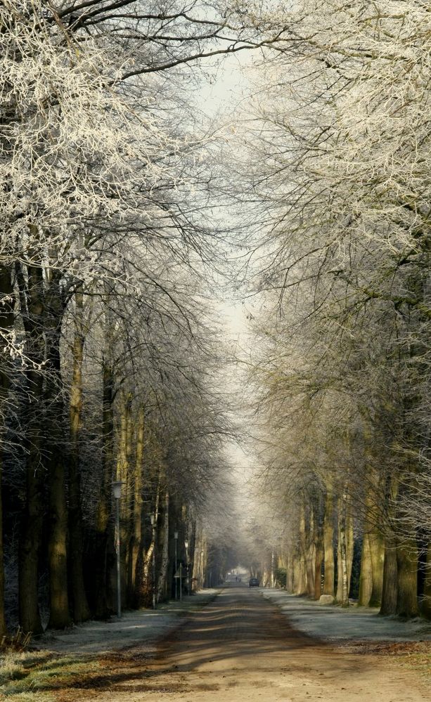 Winterallee