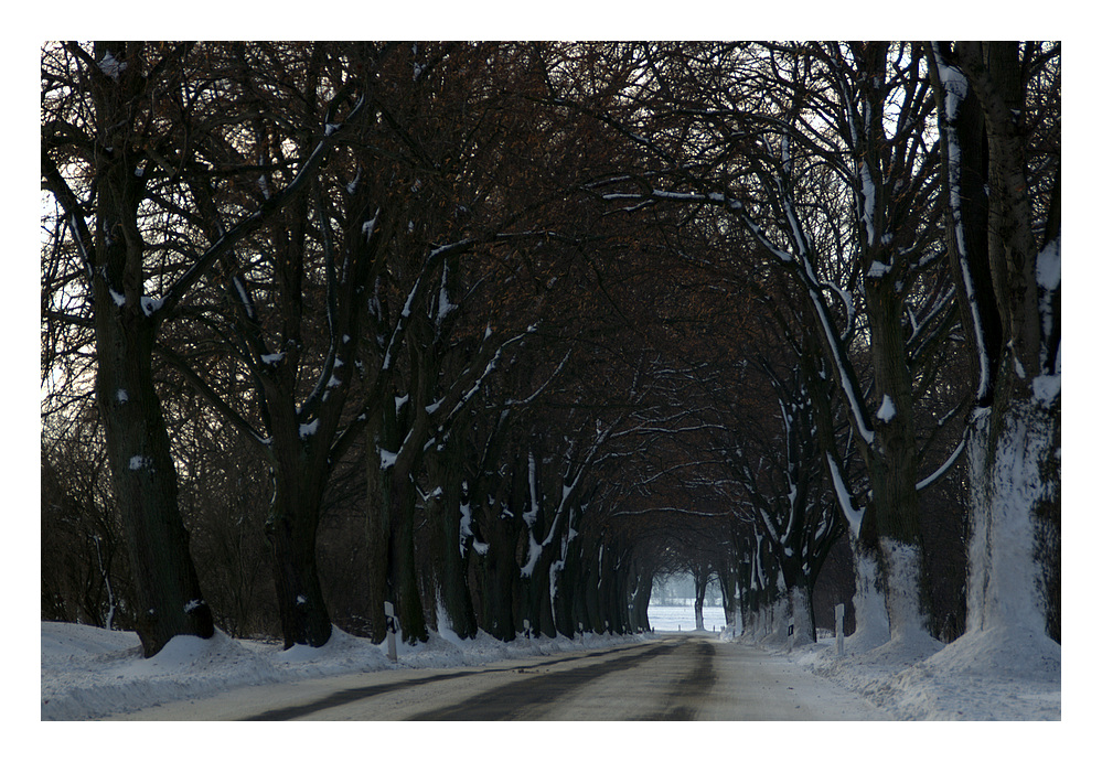 Winterallee II