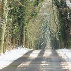 Winterallee in Schleswig Holstein