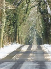 Winterallee Schleswig Holstein