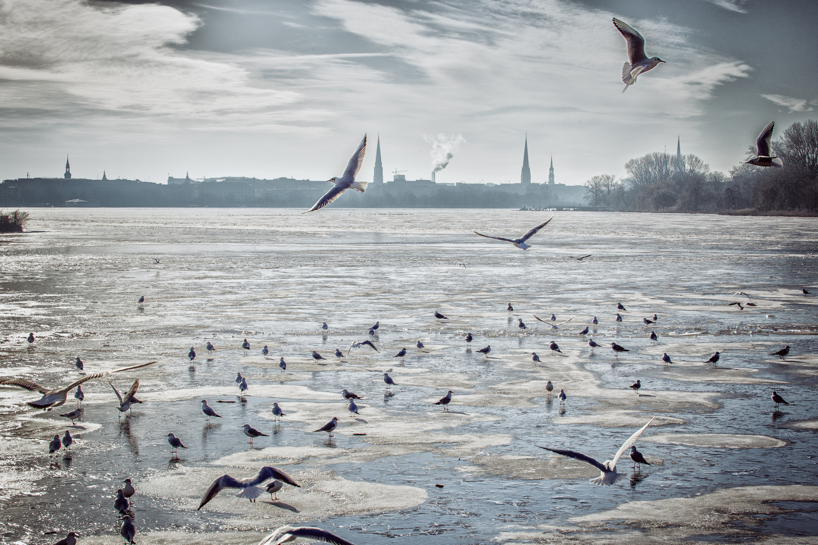 Winteralster