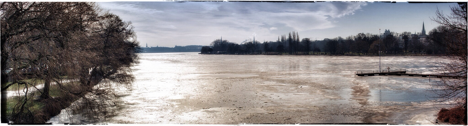 Winteralster II