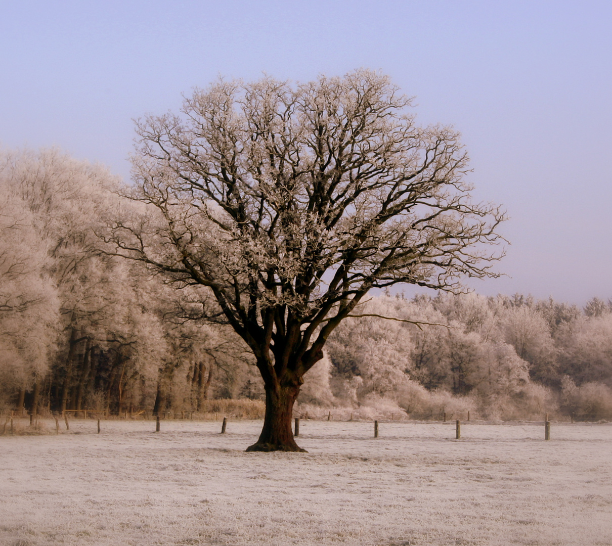 Winteranfang