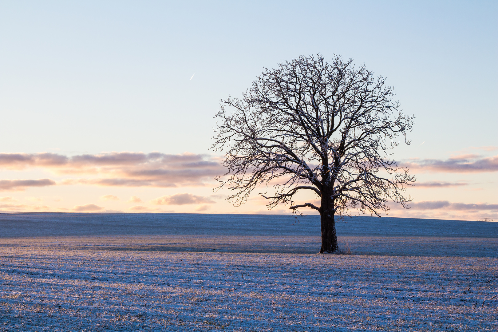 Winteranfang auf Rügen