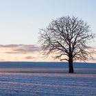 Winteranfang auf Rügen