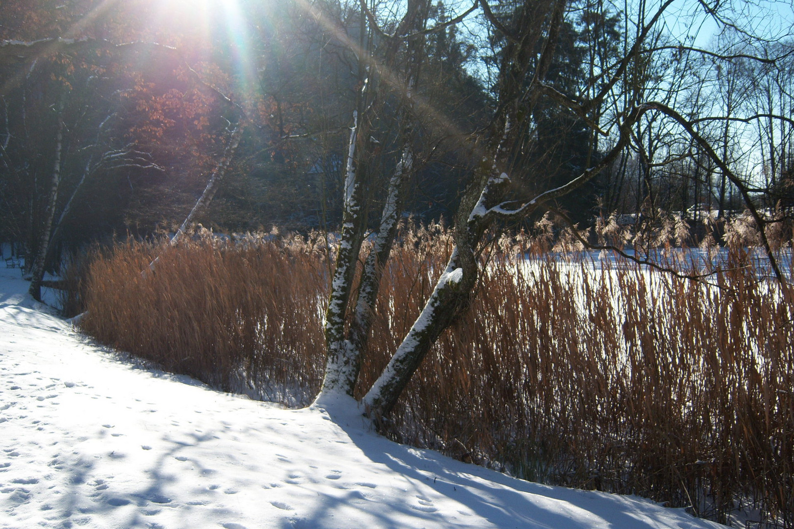 Winteranfang Foto Bild Jahreszeiten Winter Natur Bilder Auf Fotocommunity