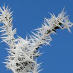 Winteranfang im Bürgerpark 03