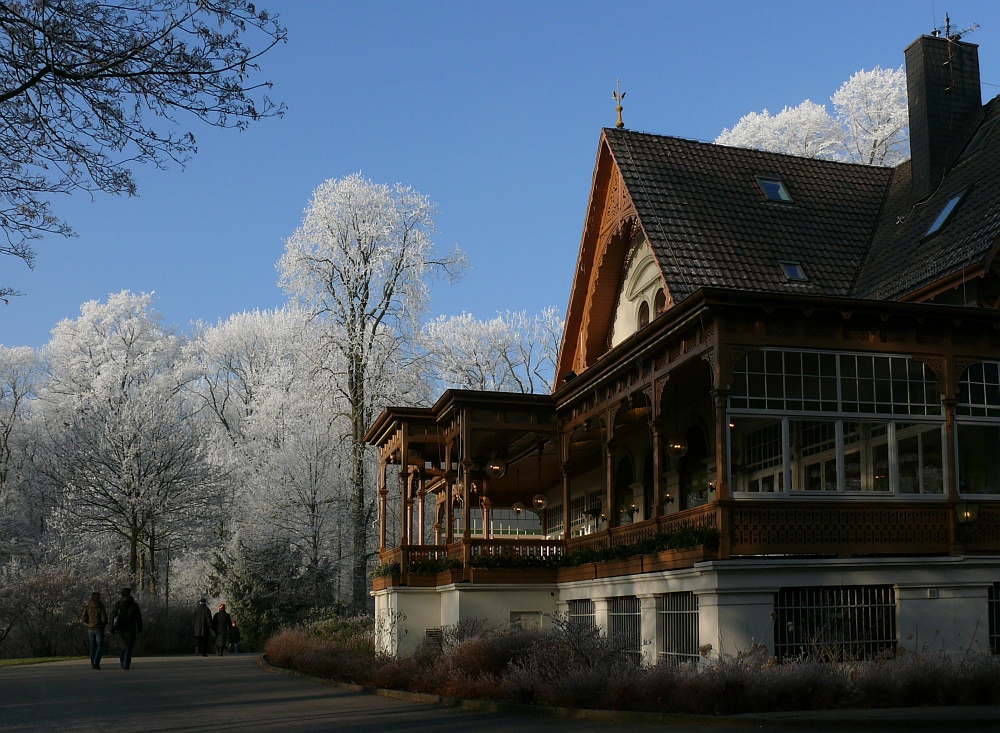 Winteranfang im Bürgerpark 5