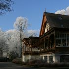 Winteranfang im Bürgerpark 5