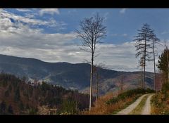 winteranfang im schwarzwald