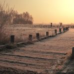 Winteranfang im Torfmoor