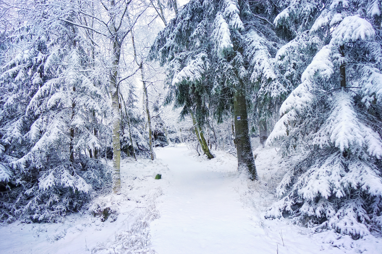 Winteranfang und Winterende