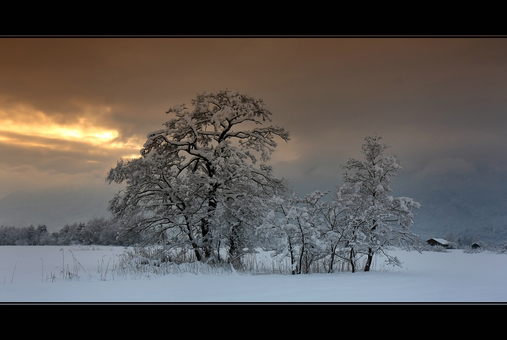 - Winterankunft V -