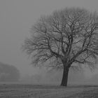 Winteransicht 2