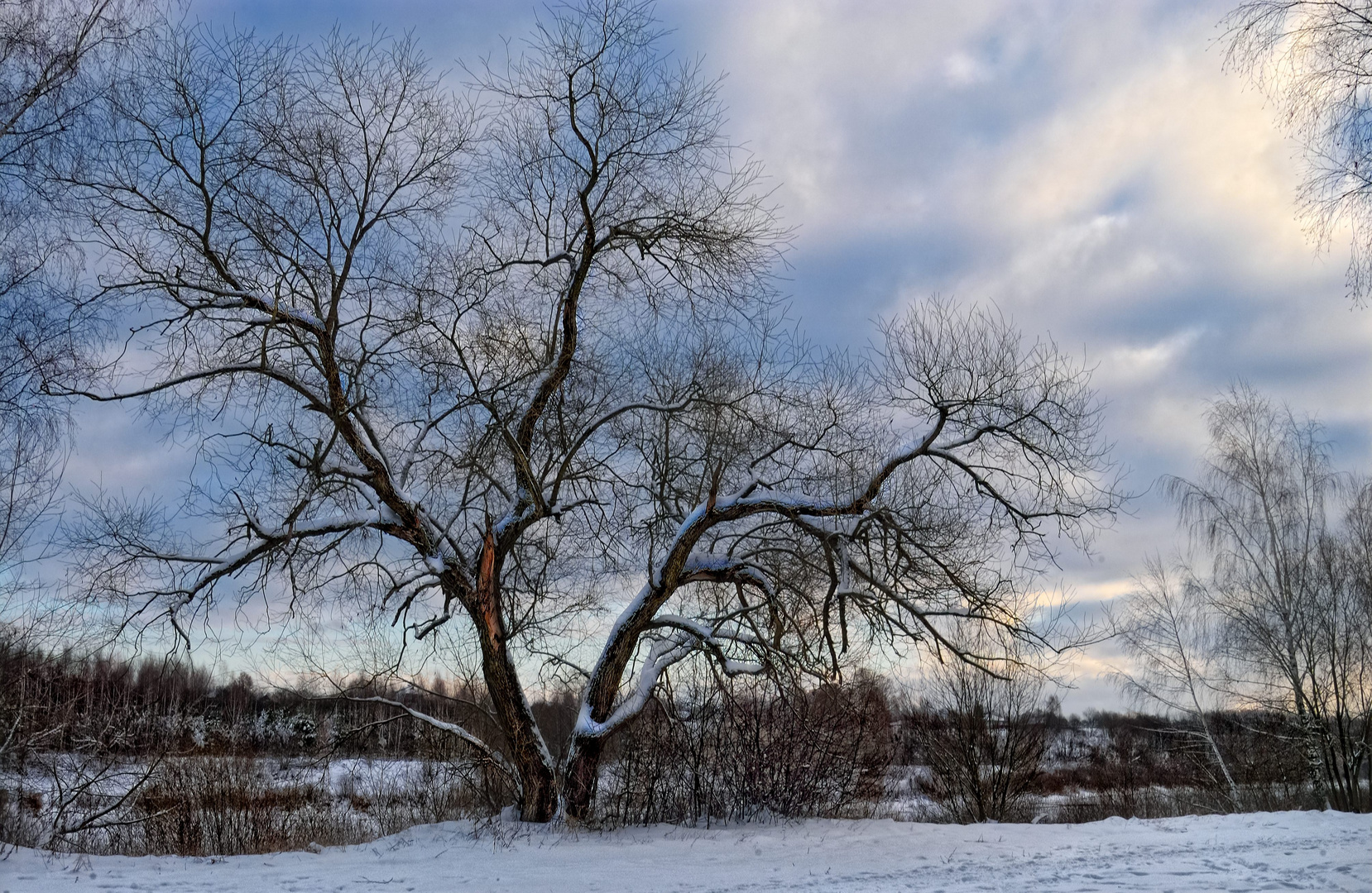 Winteransicht