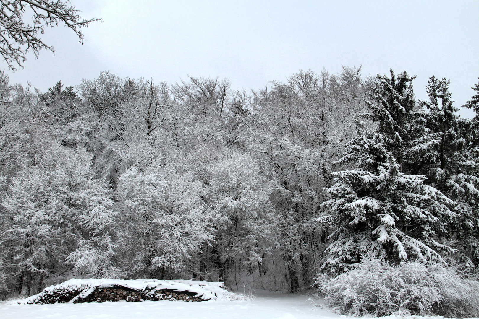 Winteransichten