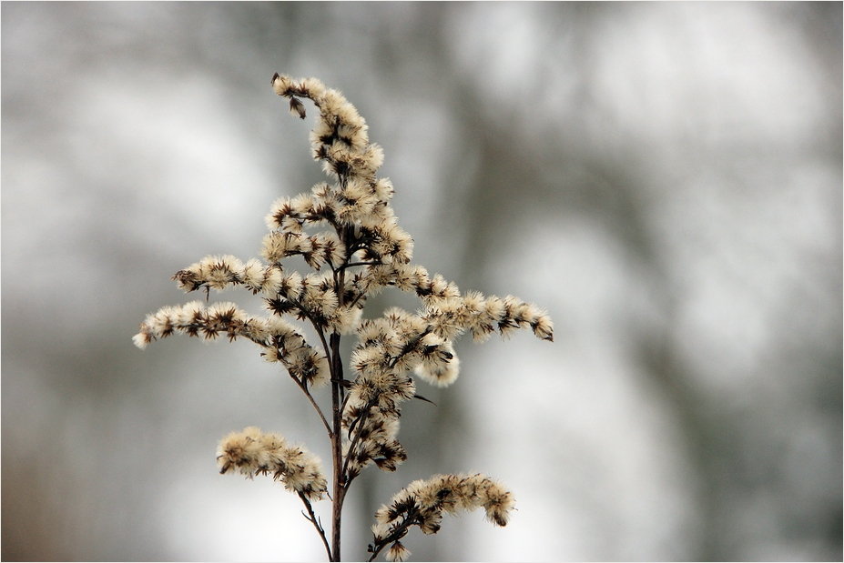 Winteransichten