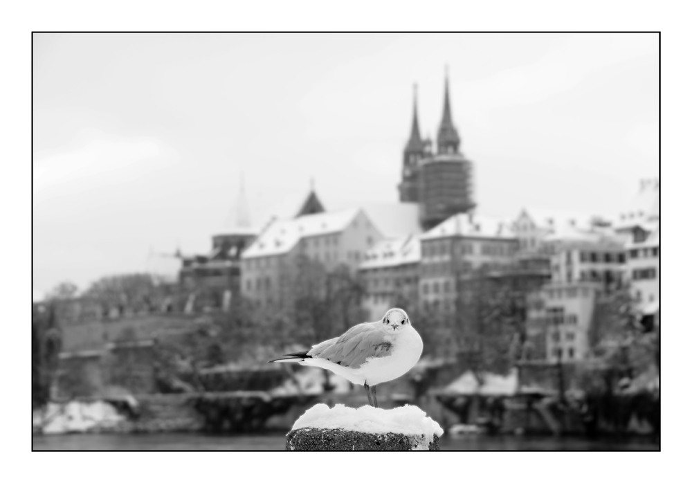 Winteransichten des Basler Münster 4