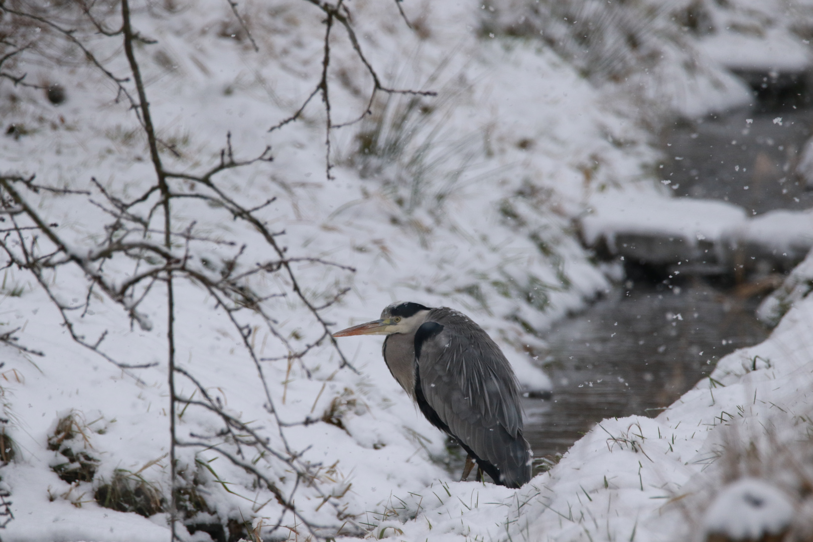 Winteransitz